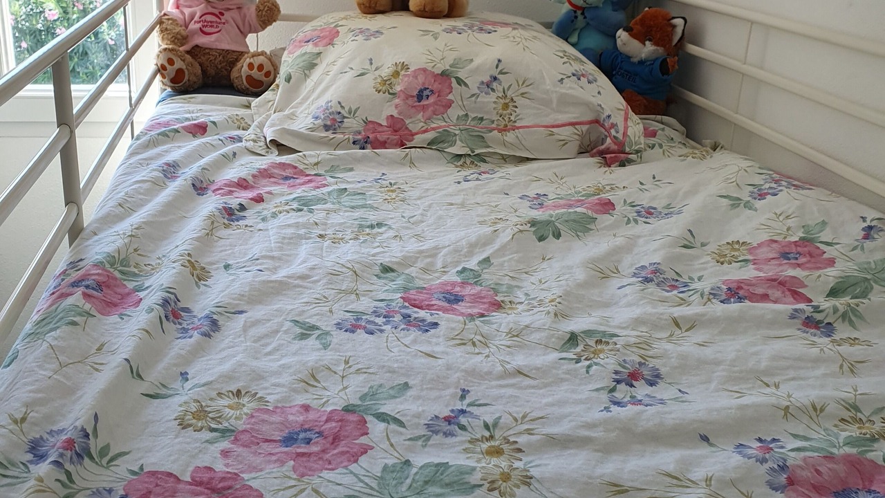 Photo of Bedroom in Torreilles