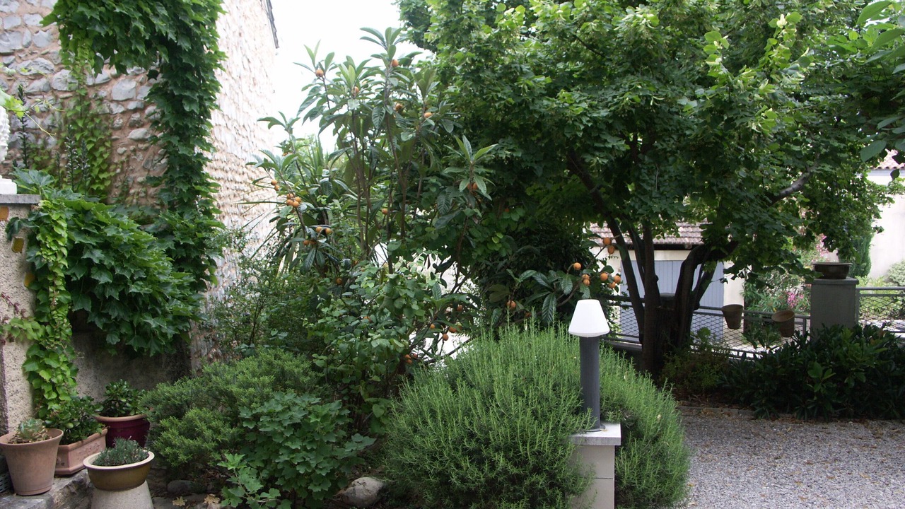 Photo of Outdoor in Rasteau