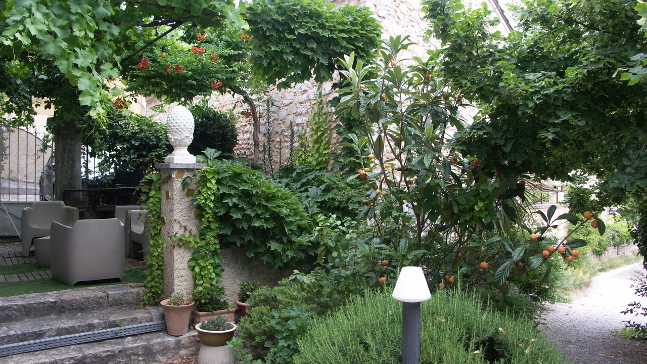 Photo of Outdoor in Rasteau