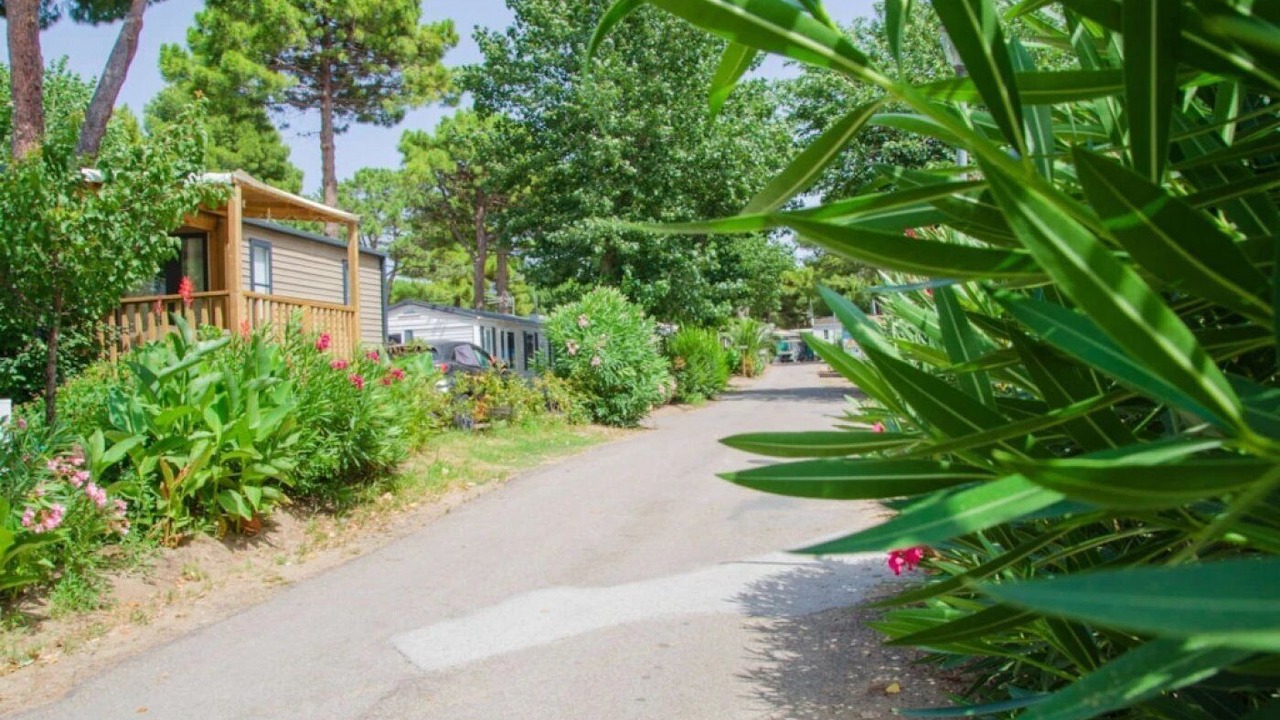 Photo of Outdoor in Le Grau-dʼAgde