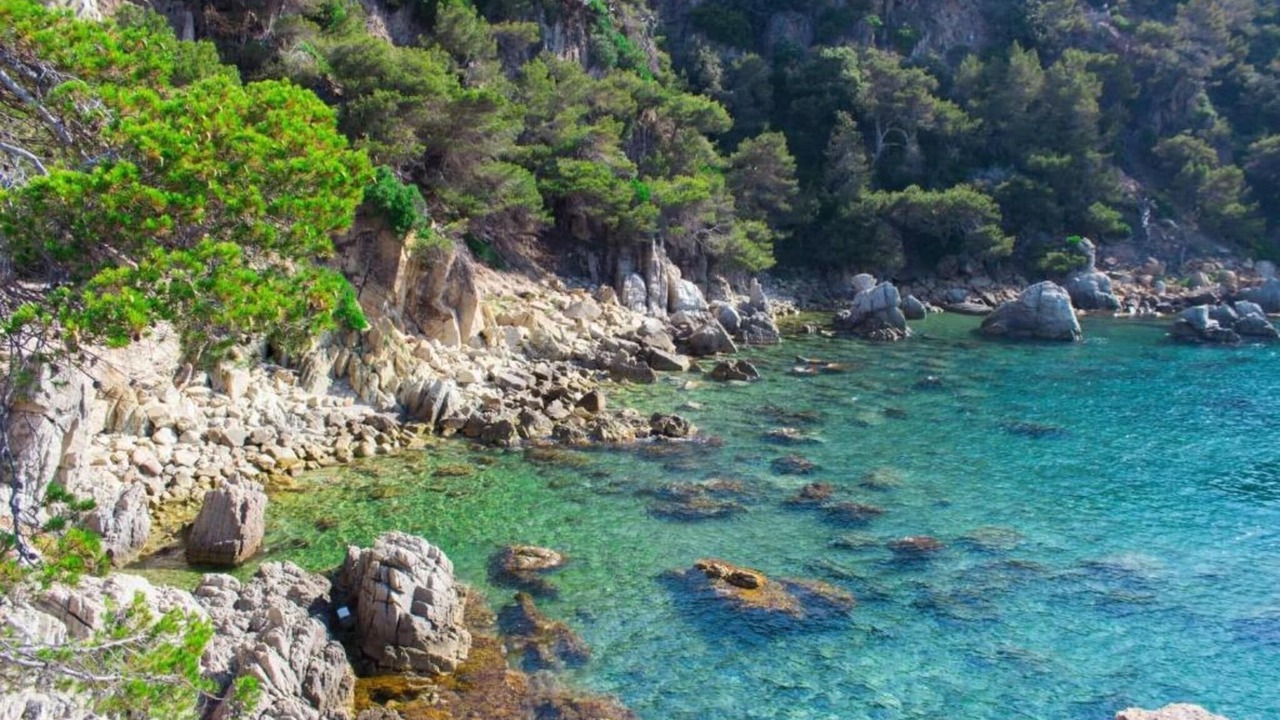 Photo of Others in Lloret de Mar
