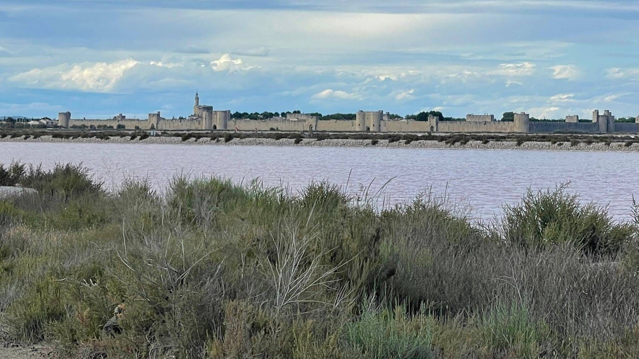Photo of Others in Saint-Laurent-d'Aigouze