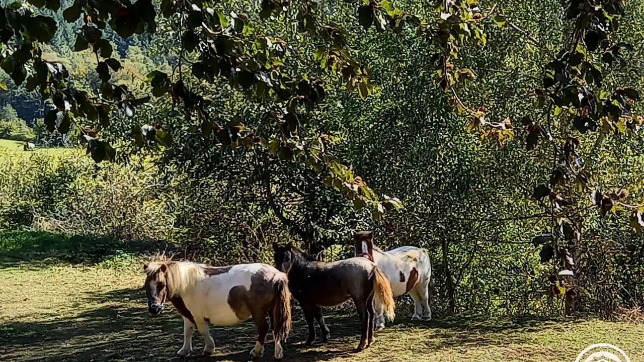 Photo of Others in Aix