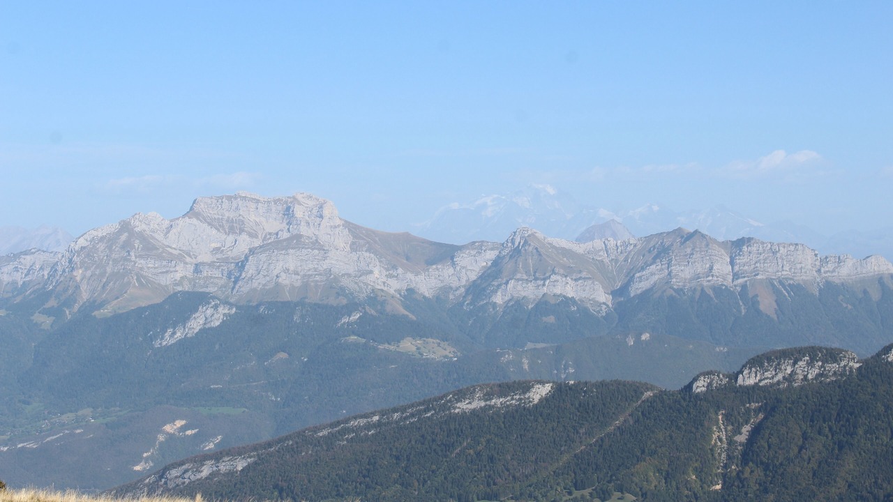Photo of Others in Balmont