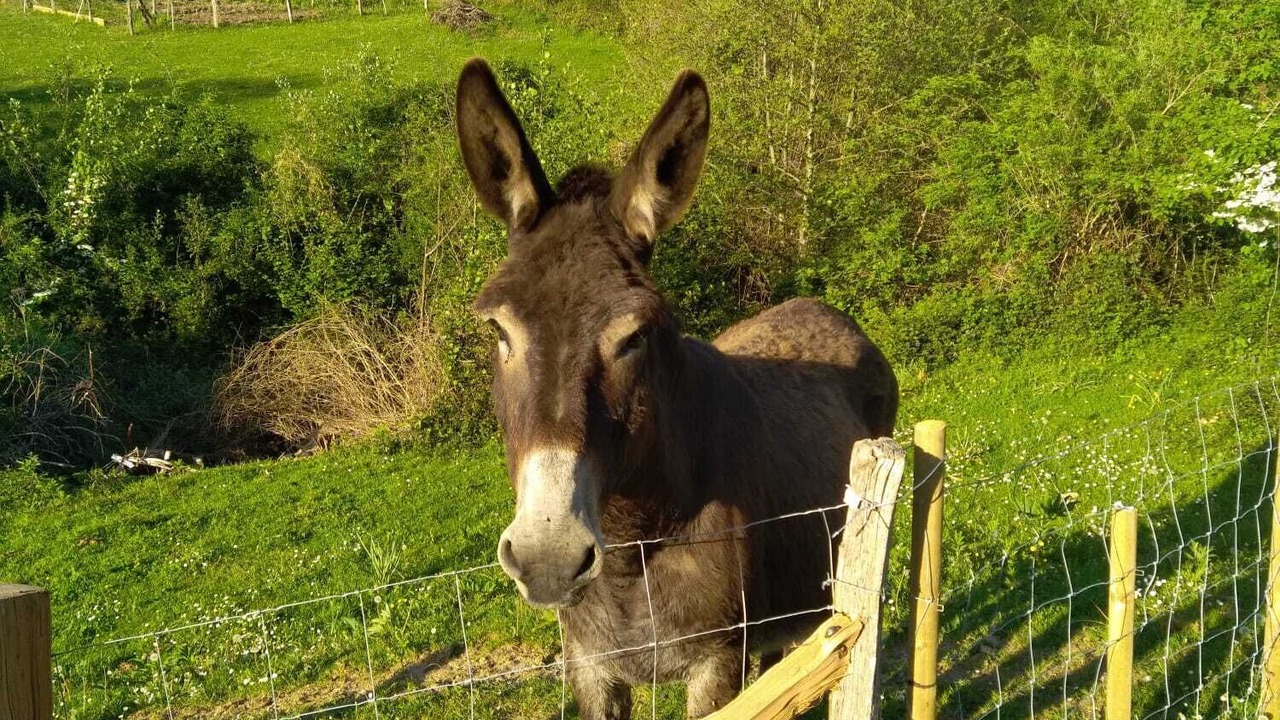 Photo of Others in Hasparren