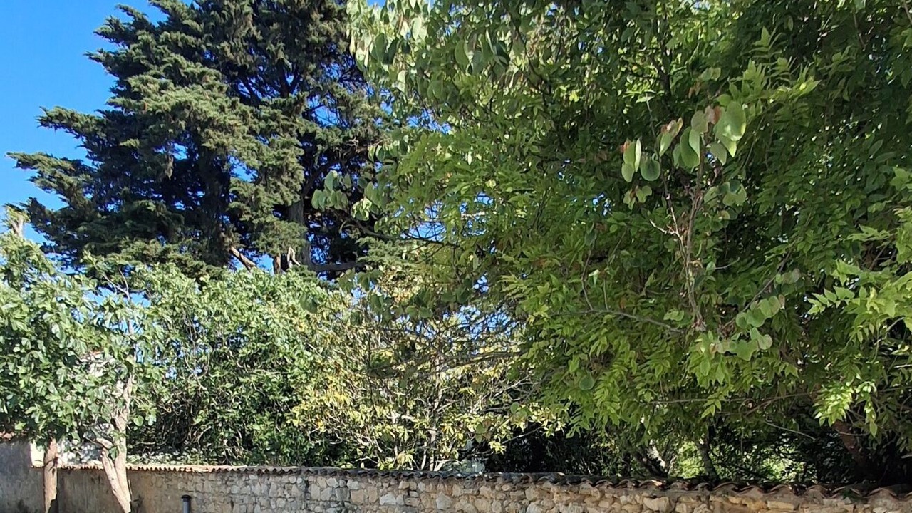Photo of Outdoor in Valeyrac