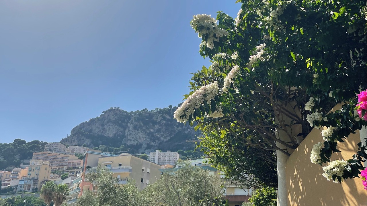 Photo of Outdoor in Cap d'Ail