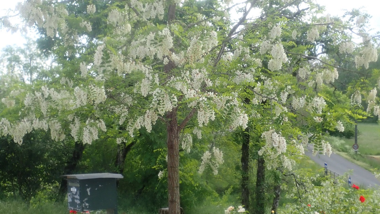 Photo of Outdoor in Lamothe-Fenelon