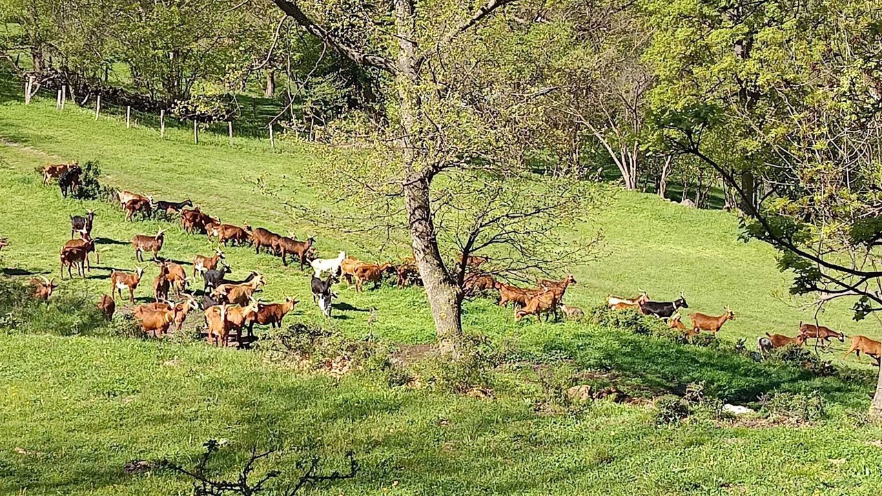 Photo of Others in Baillestavy
