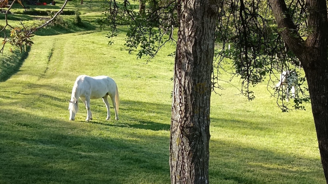 Photo of Others in Baillestavy