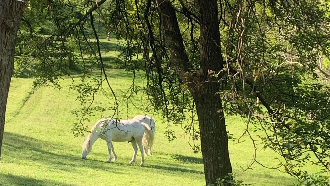 Photo of Others in Baillestavy