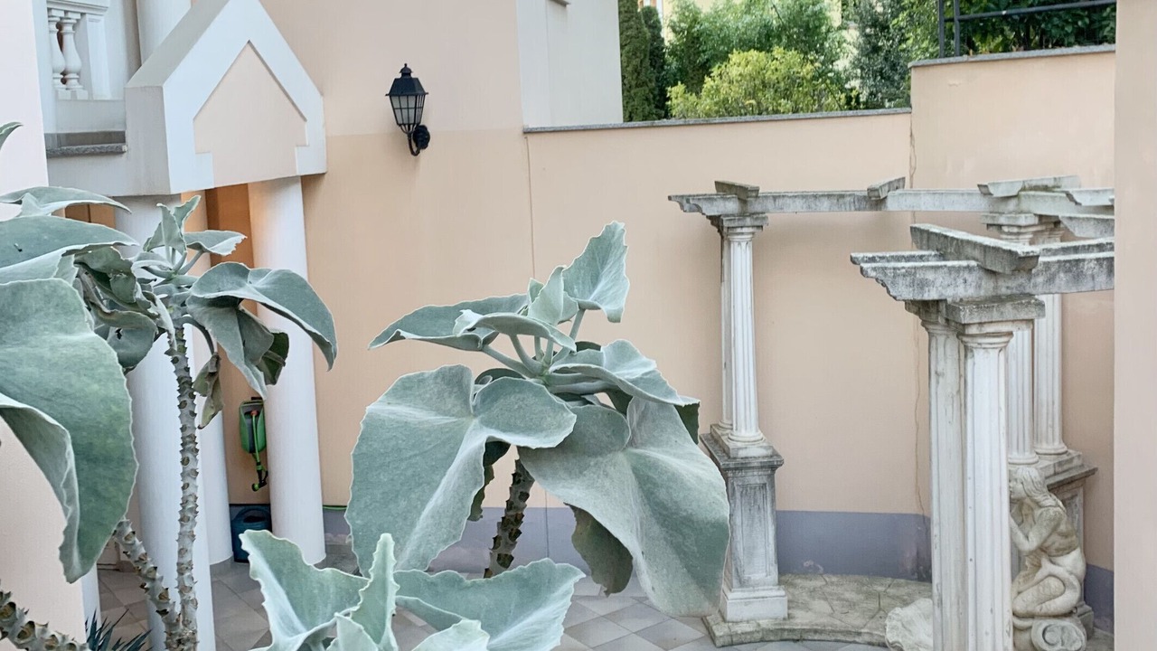 Photo of Outdoor in Menton