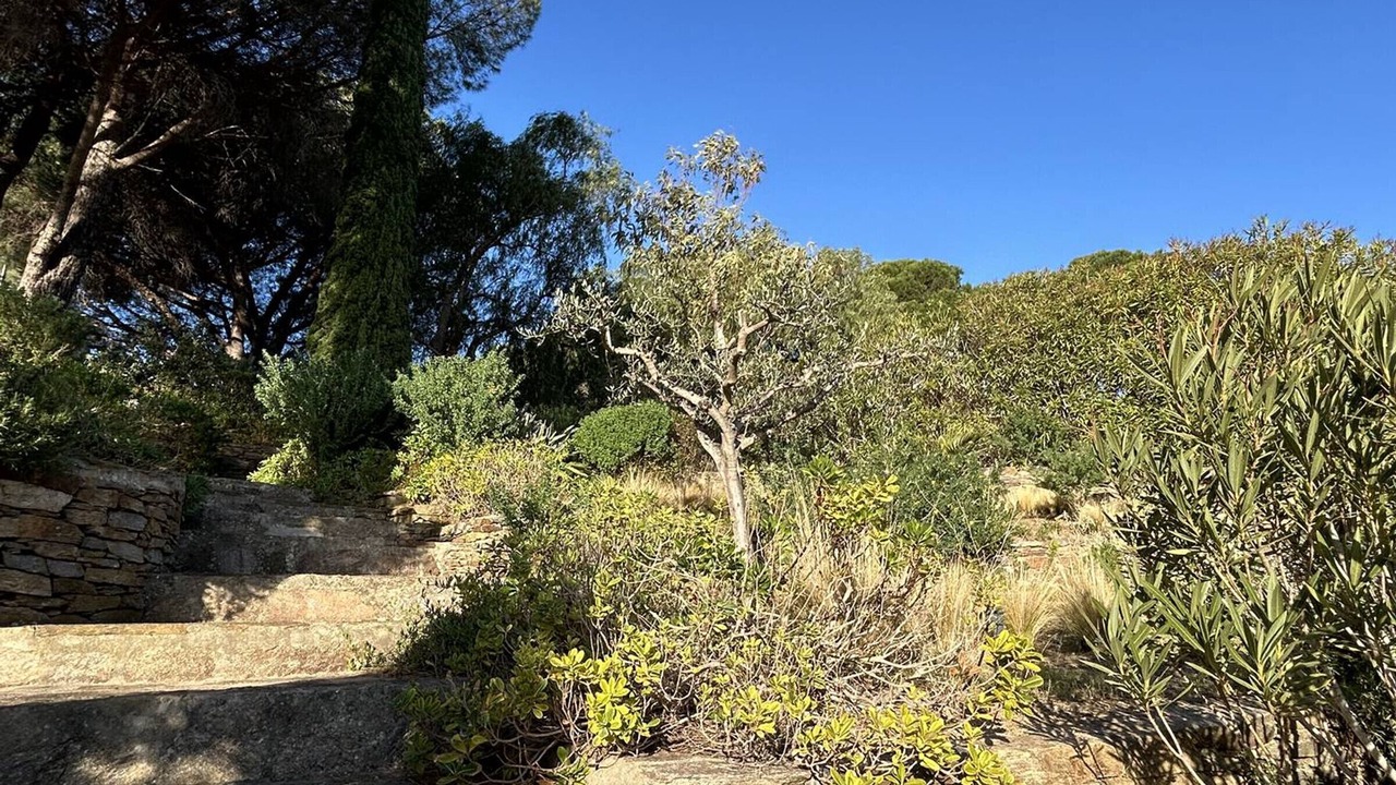 Photo of Outdoor in Bormes-Les-Mimosas