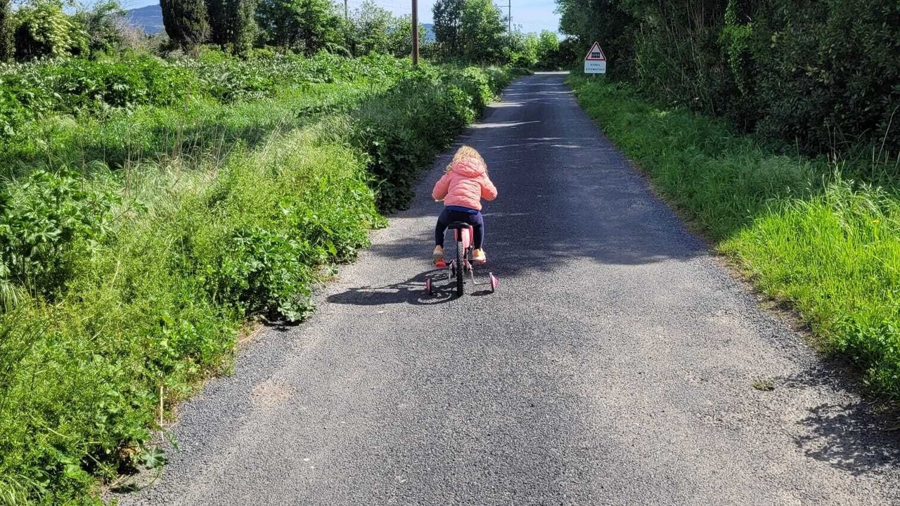 Photo of Others in Ille-sur-Tet