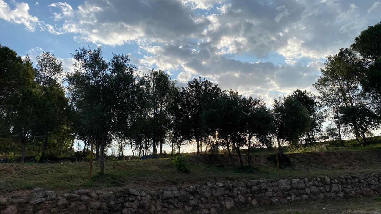 Photo of Others in Sant Salvador de Guardiola