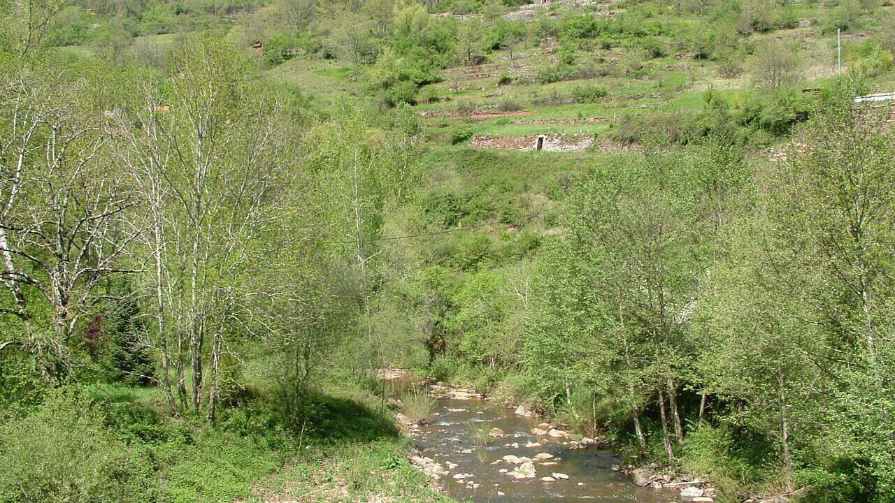 Photo of Others in Martin