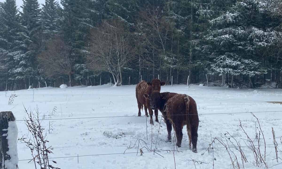 Photo of Others in Pierrefort