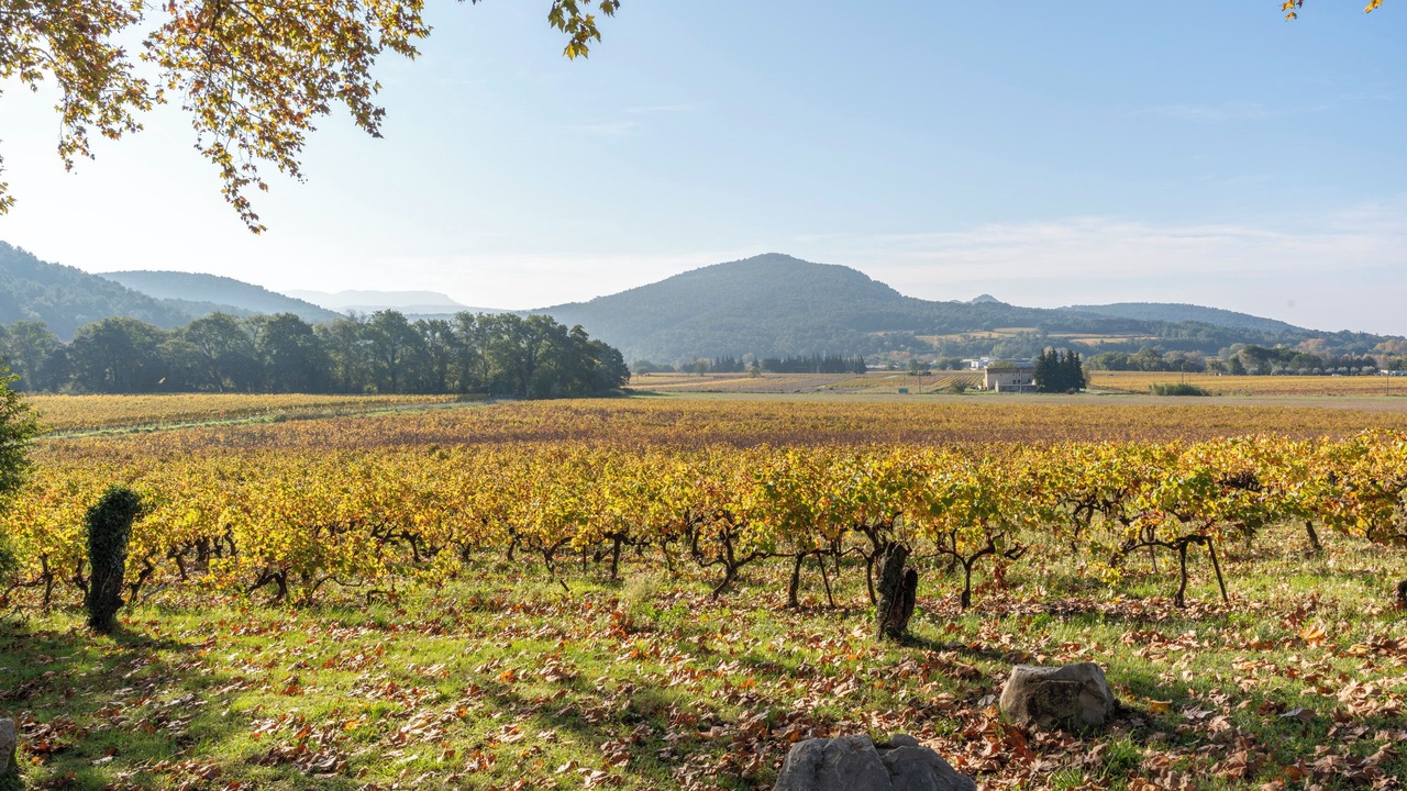 Photo of Others in Vaison-la-Romaine