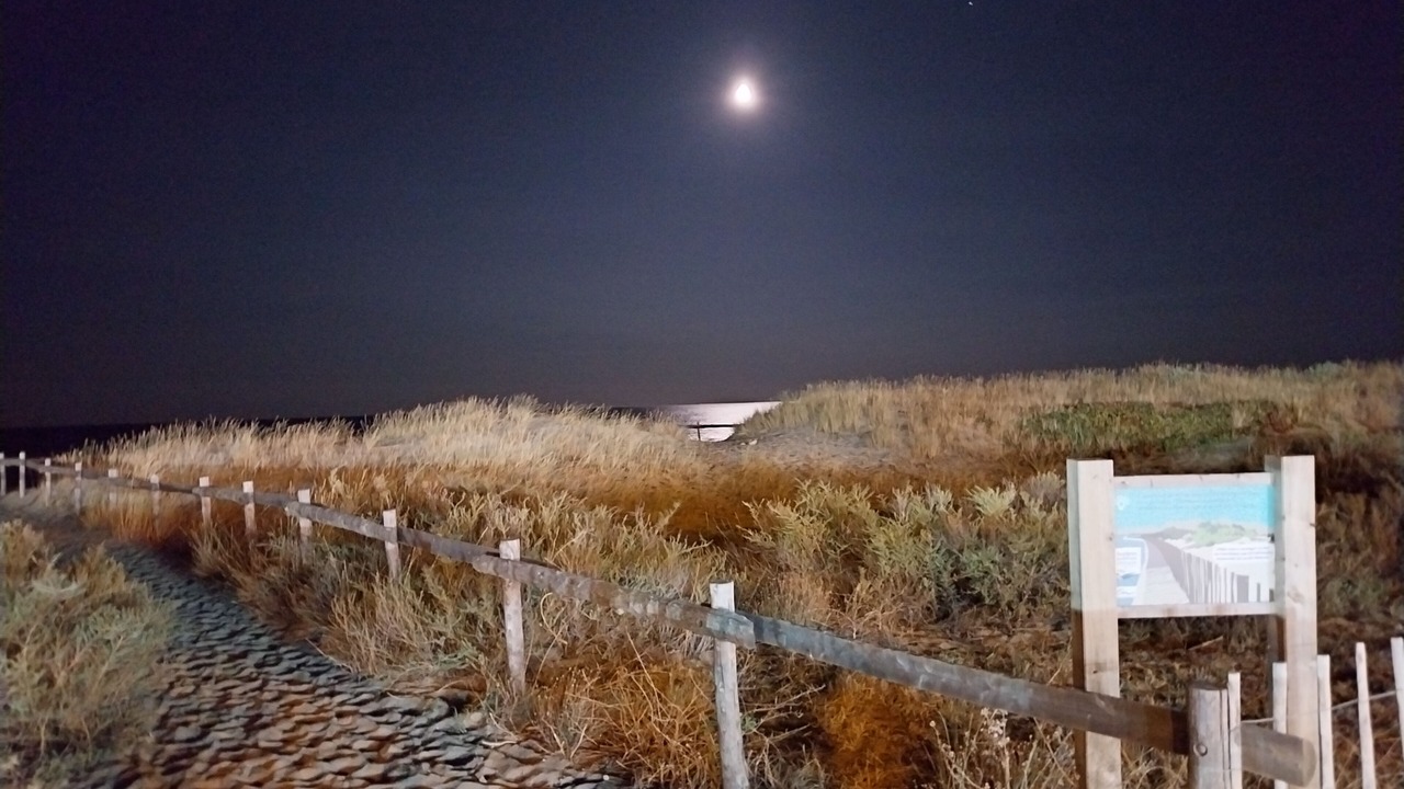 Photo of Others in Sainte-Marie-la-Mer