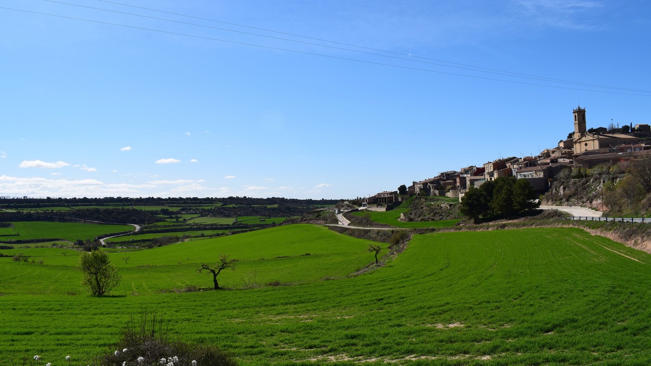 Photo of Others in Granyena de Segarra