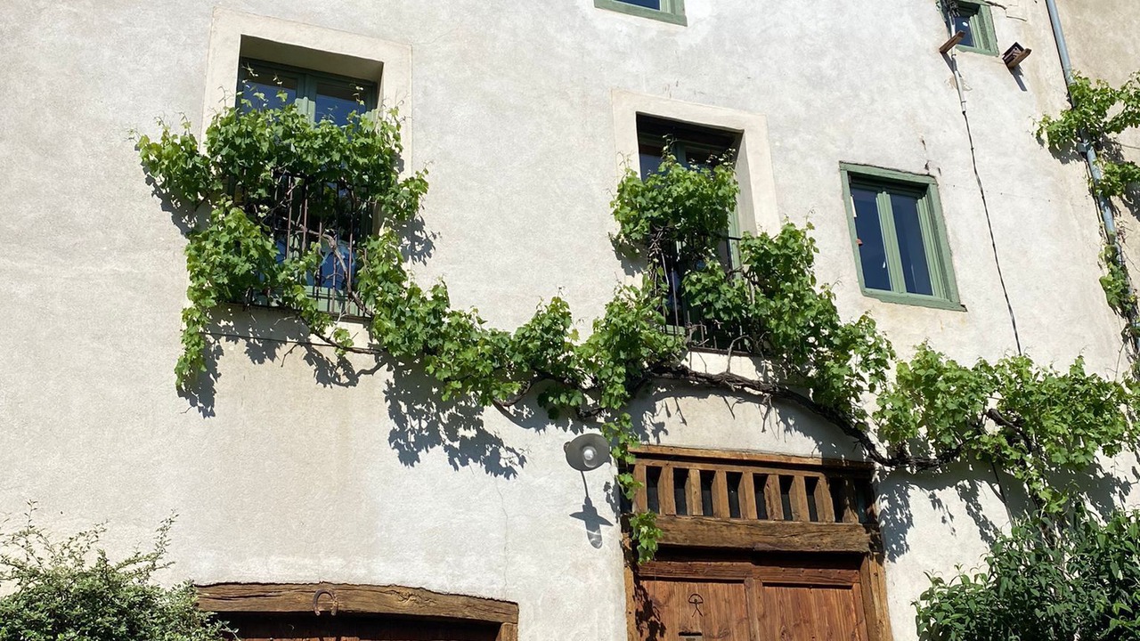 Photo of Outdoor in Villeneuve-dʼAllier