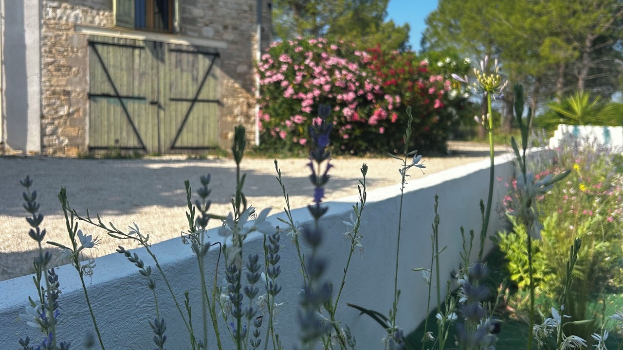 Photo of Outdoor in Celas