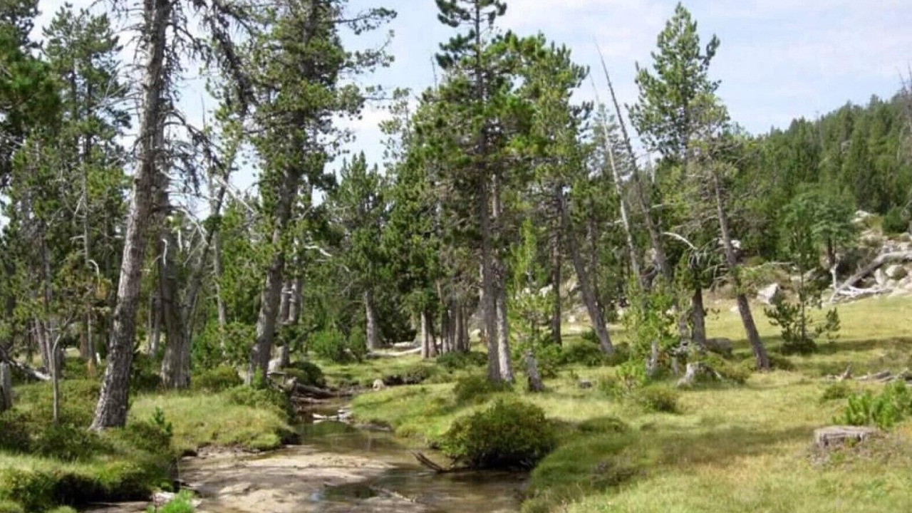 Photo of Others in Aranser