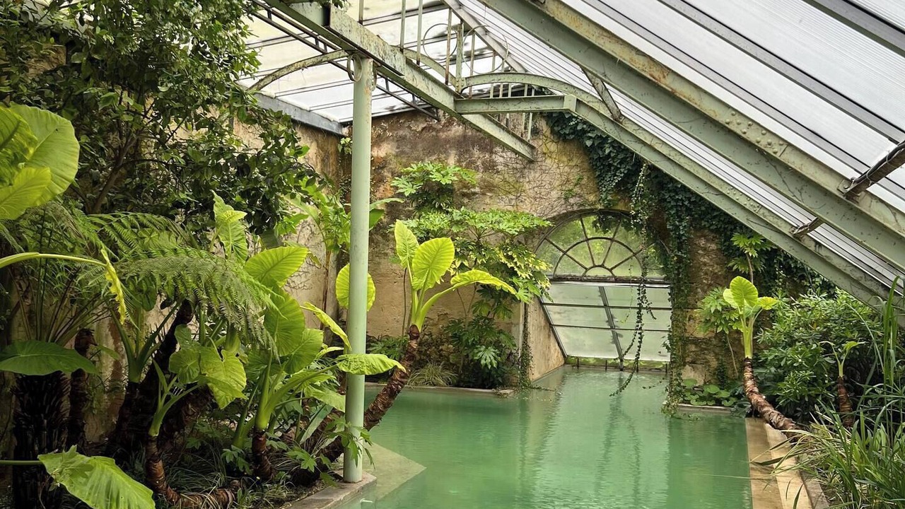 Photo of Outdoor in Montcaret