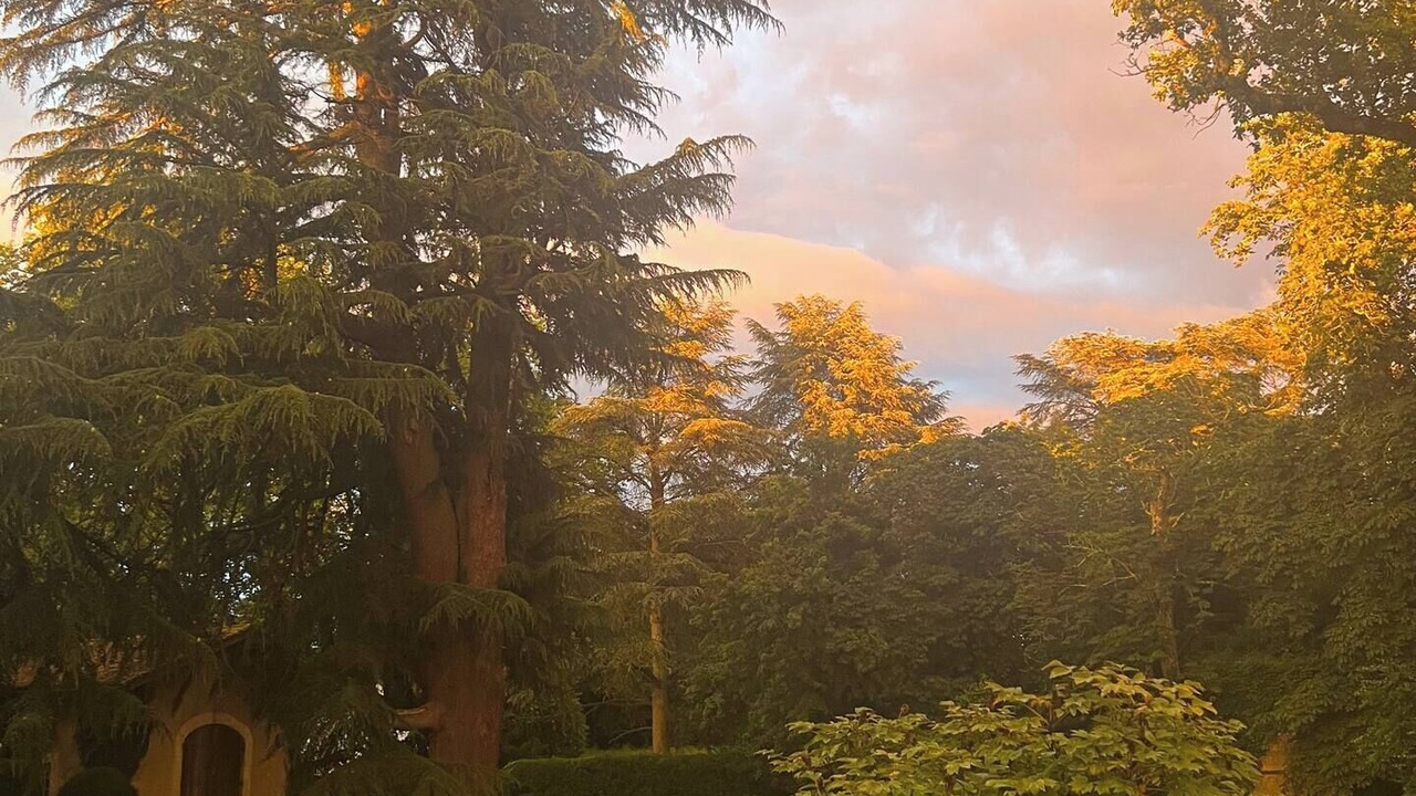 Photo of Outdoor in Montcaret