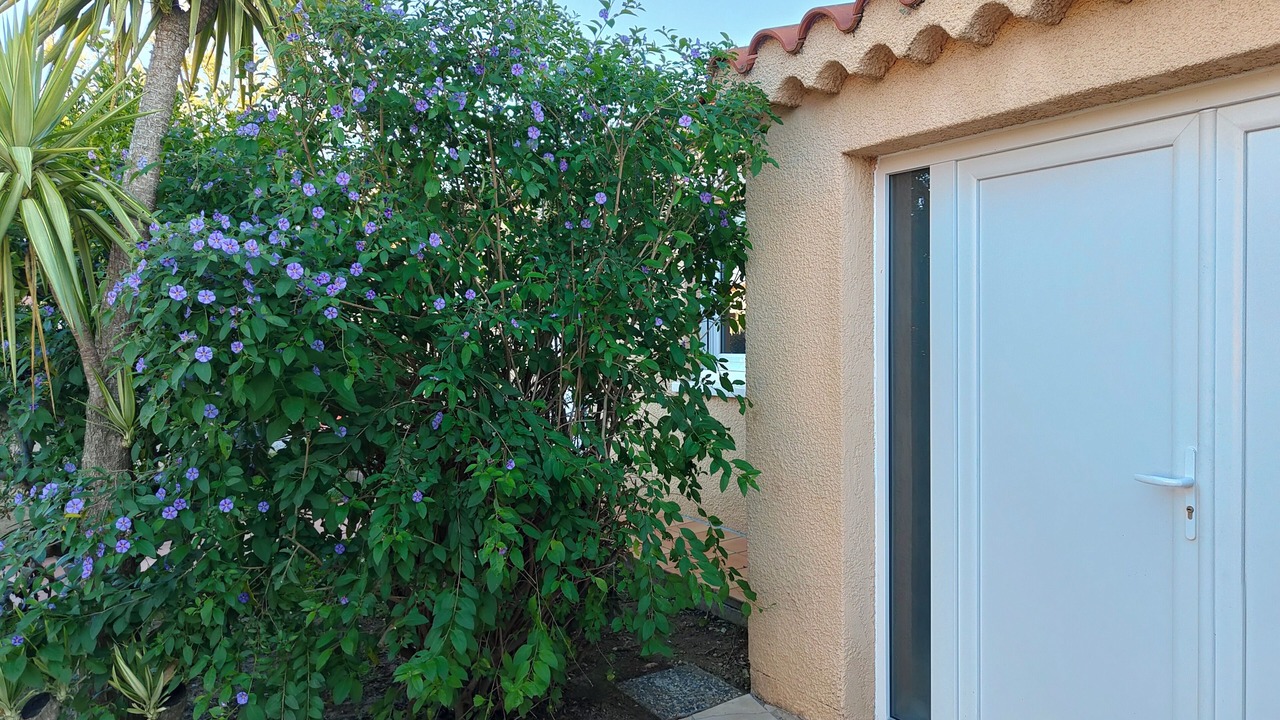 Photo of Outdoor in Argeles-sur-Mer