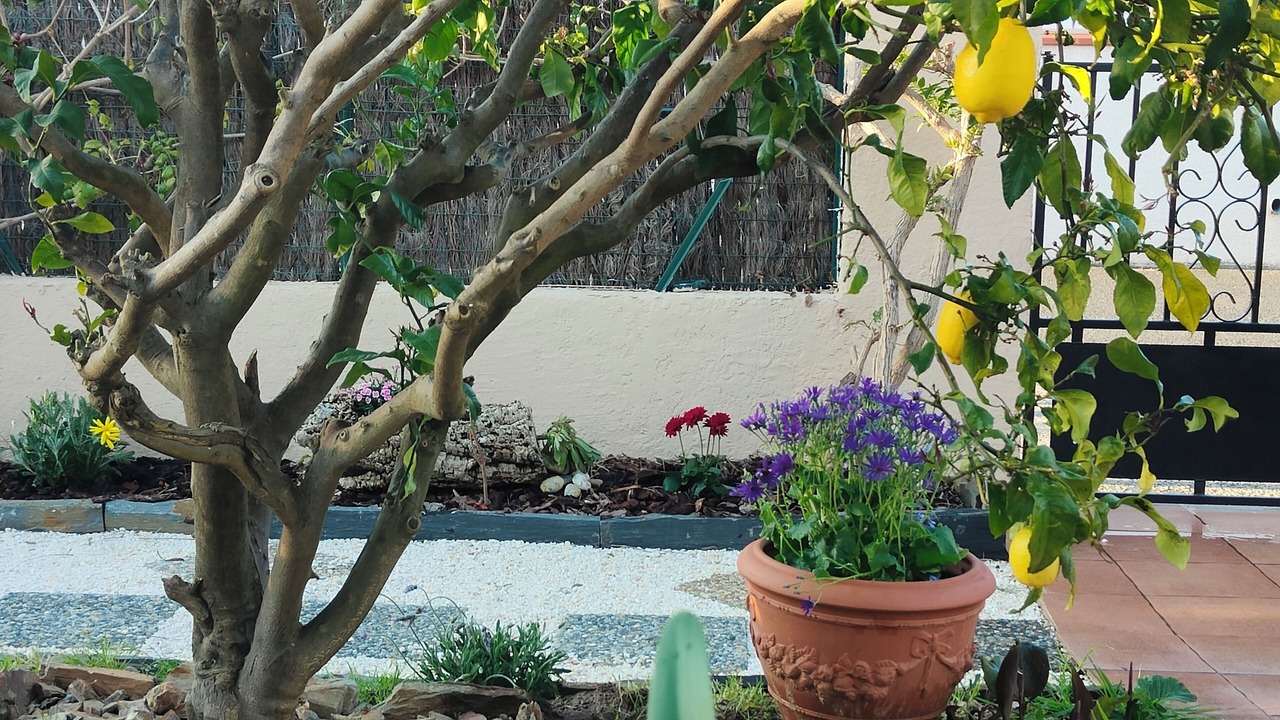 Photo of Outdoor in Argeles-sur-Mer