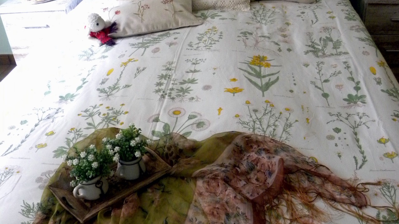 Photo of Bedroom in Escalo