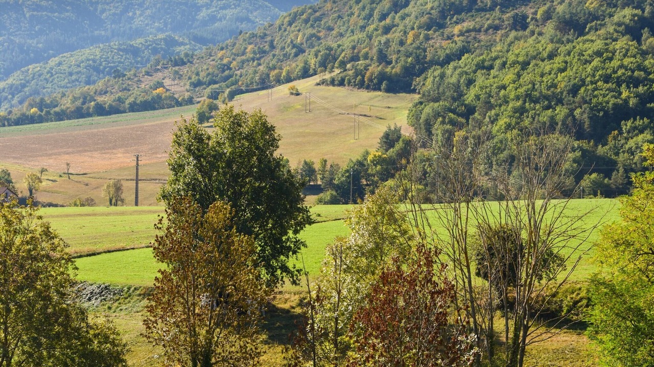 Photo of Others in Villeneuve-dʼAllier