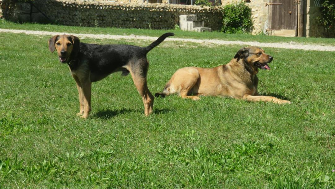 Photo of Others in Chateauneuf-sur-Isere