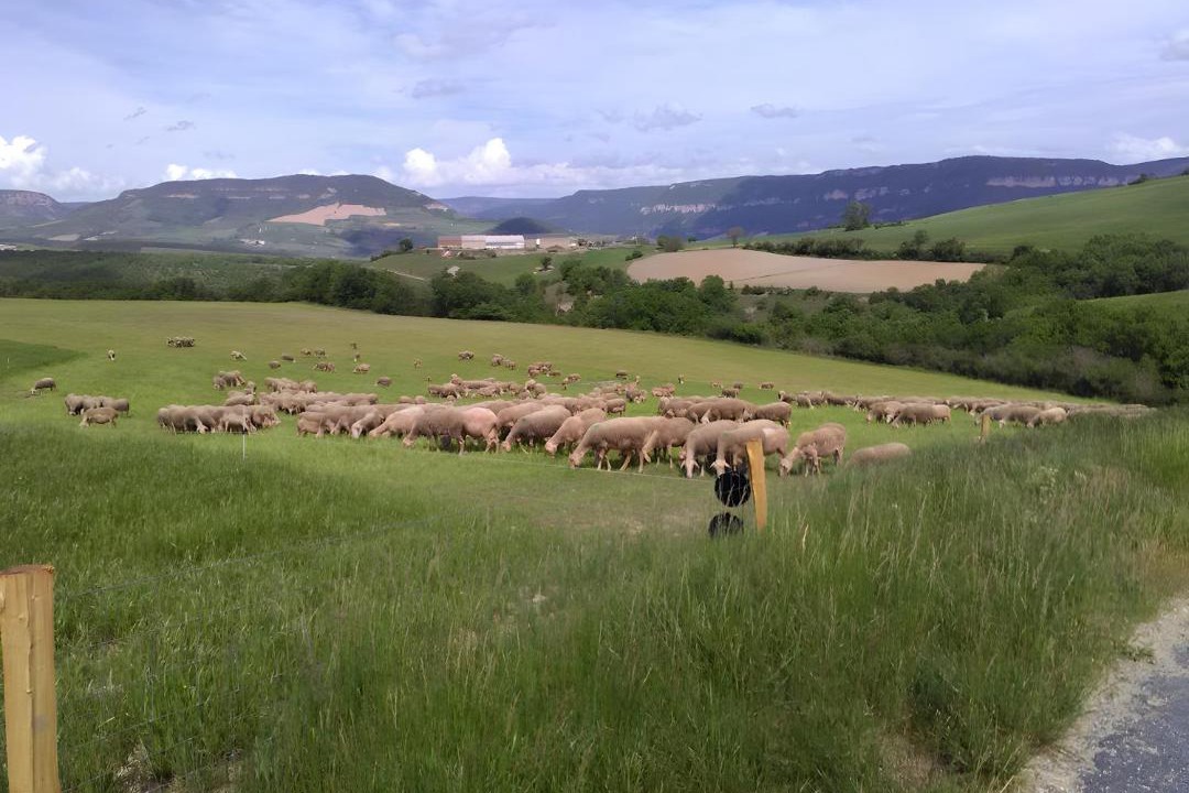 Photo of Others in Millau