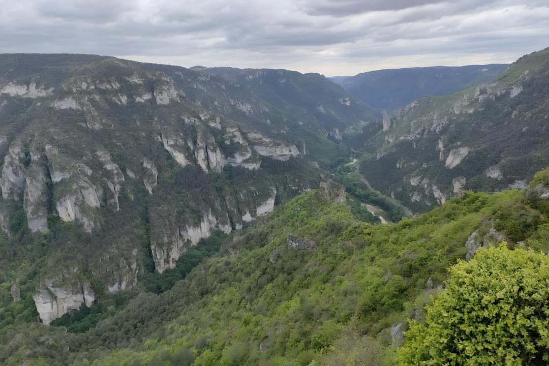 Photo of Others in Mostuejouls