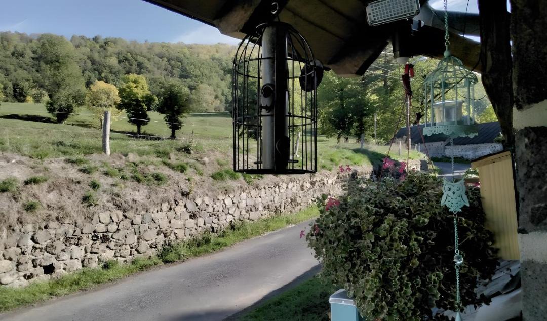 Photo of Others in Saint-Cernin