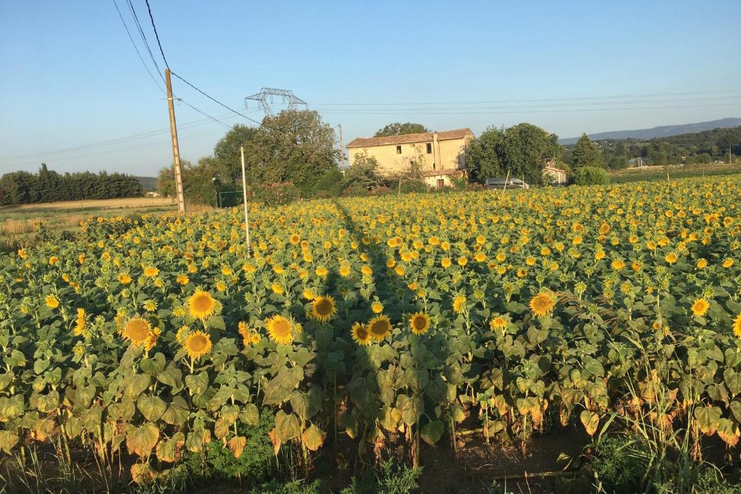 Photo of Others in Sauzet