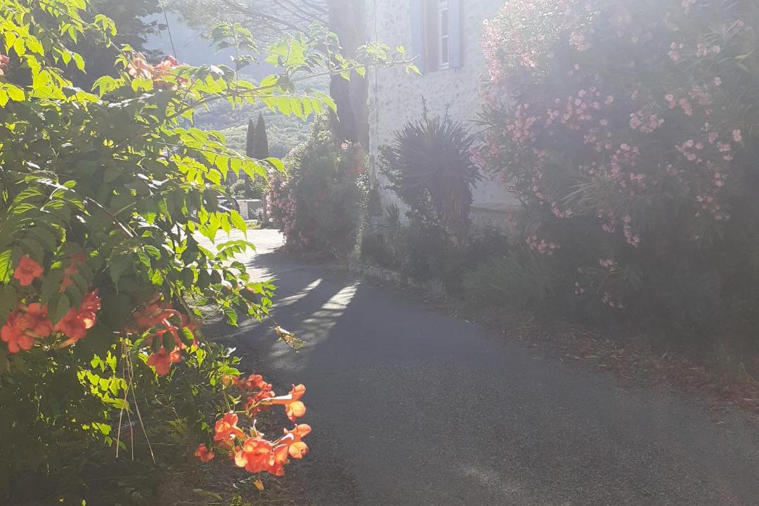 Photo of Others in Roche-Saint-Secret