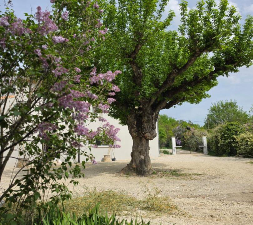 Photo of Others in Aubignan