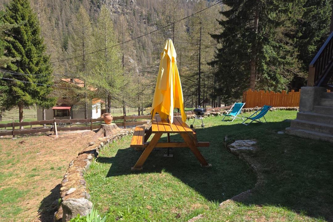 Photo of Others in Belvedere