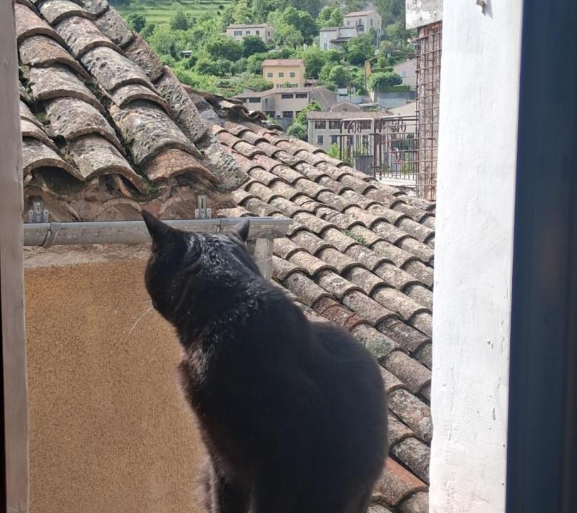Photo of Others in Entrevaux