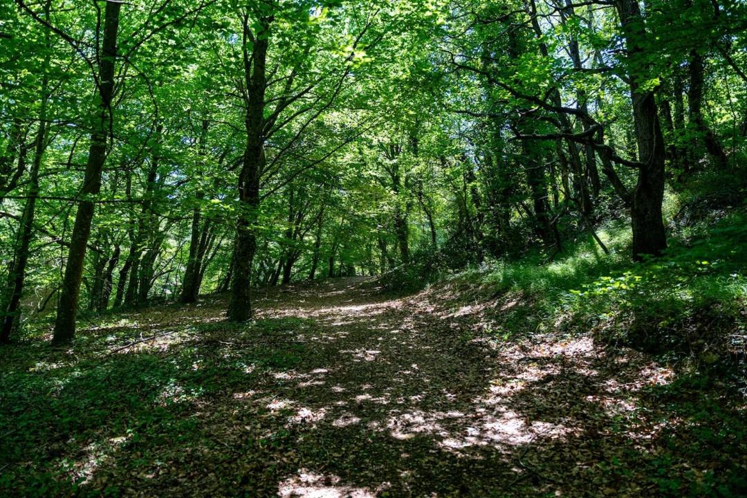Photo of Others in Portes-en-Valdaine