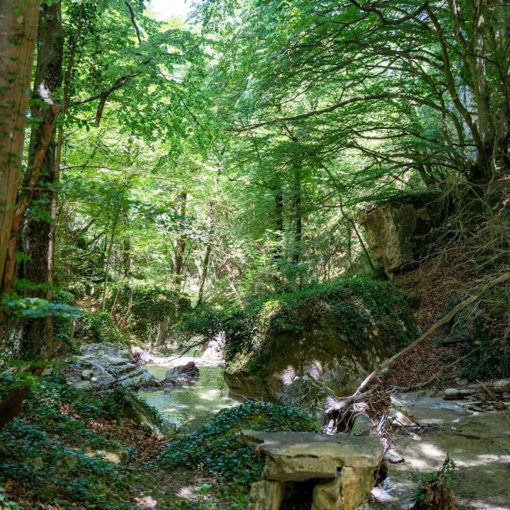Photo of Others in Portes-en-Valdaine