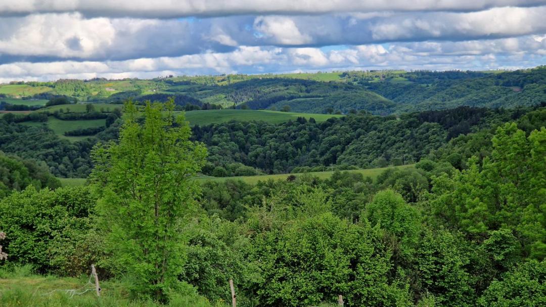 Photo of Others in Besse