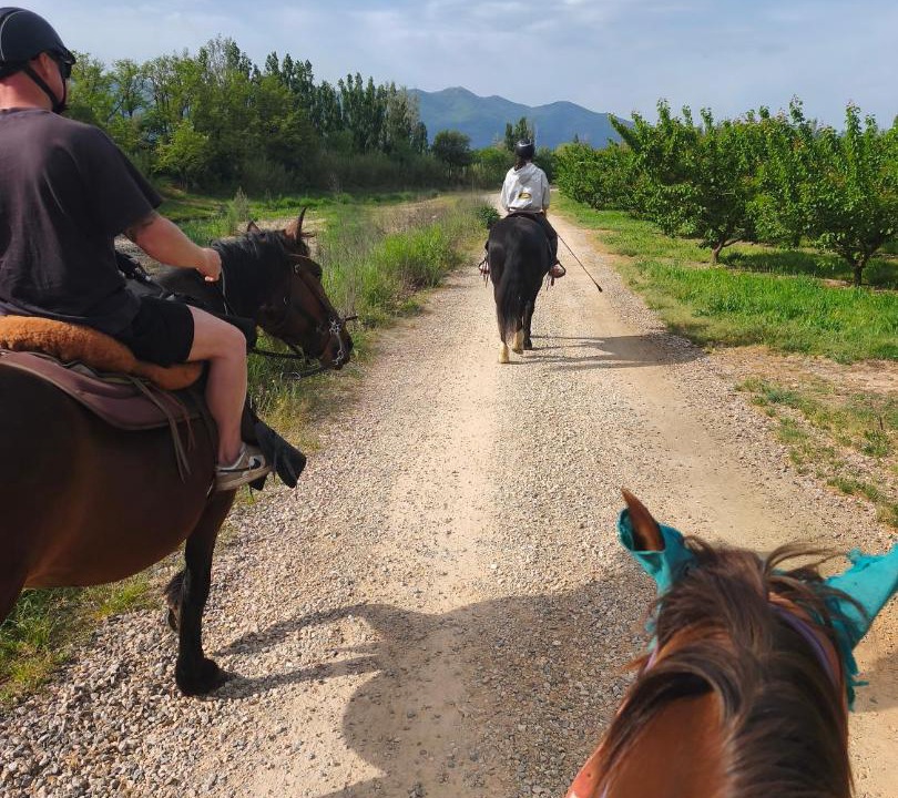 Photo of Others in Palau-del-Vidre