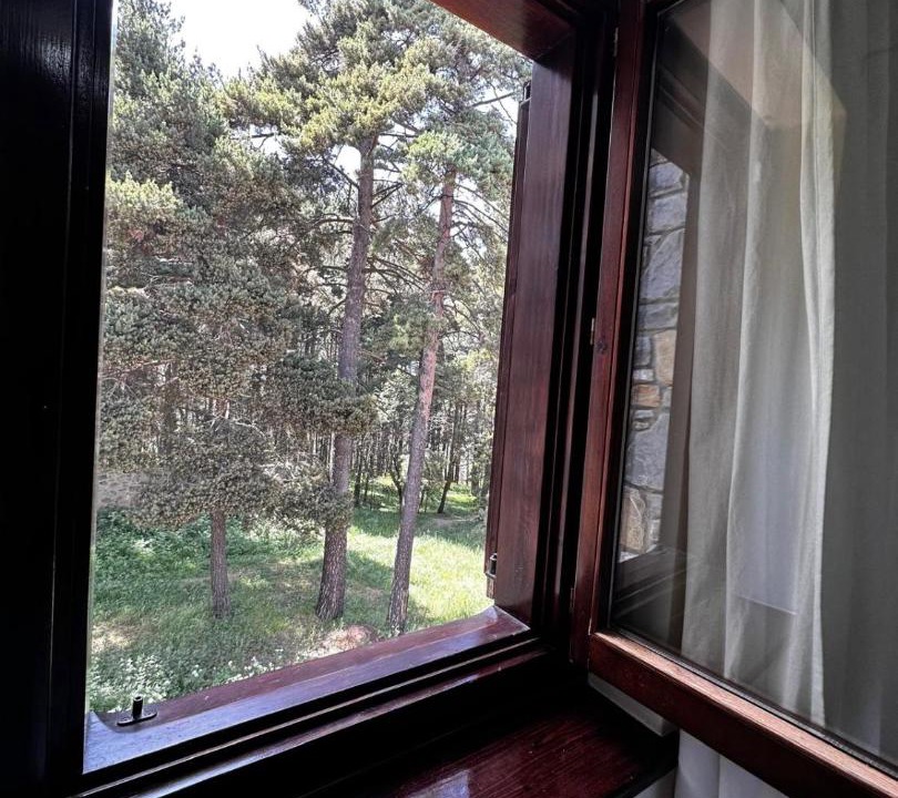 Photo of Others in La Molina