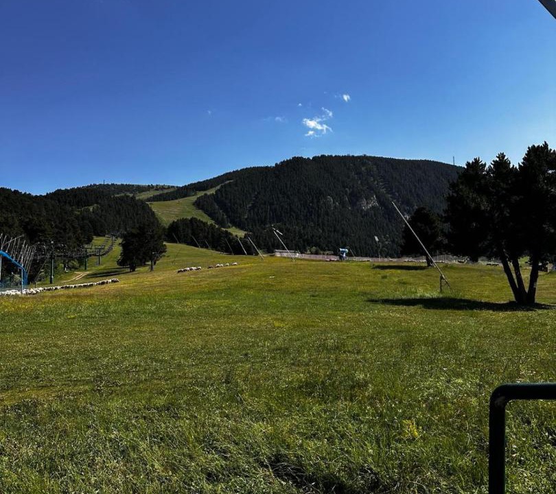 Photo of Others in La Molina