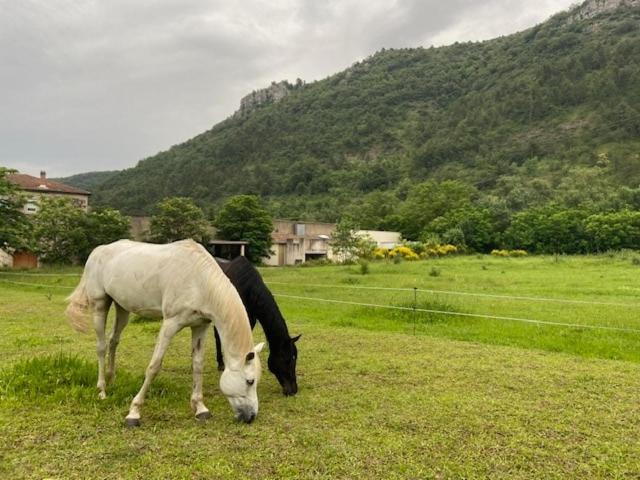 Photo of Others in Saint-Julien-en-Saint-Alban