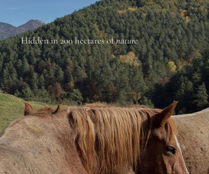 Photo of Human In Picture in Campdevanol